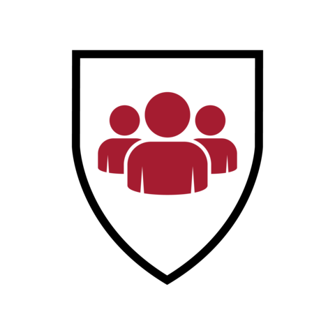 Meet the Team